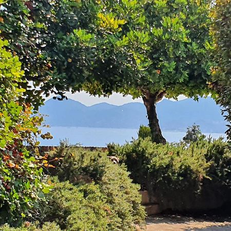 Haus Mit Garten Ueber Der Bucht Von Cannes วาลูริส ภายนอก รูปภาพ